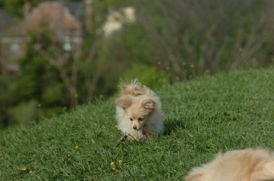 May12_07_611.JPG