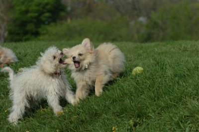 May12_07_613.JPG