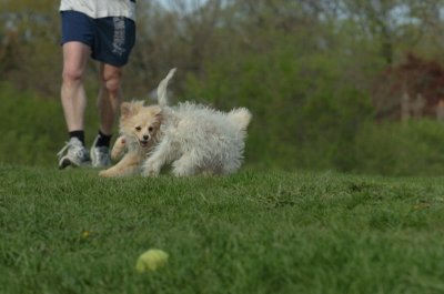 May12_07_620.JPG