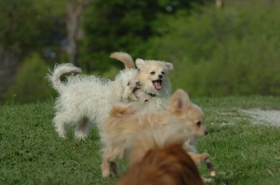 May12_07_630.JPG