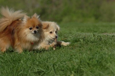 May12_07_632.JPG