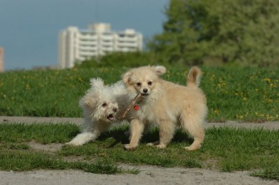May12_07_635.JPG