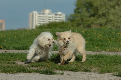 May12_07_636.JPG