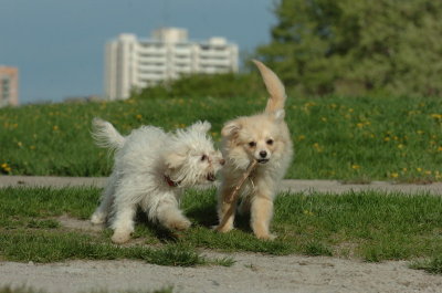 May12_07_637.JPG