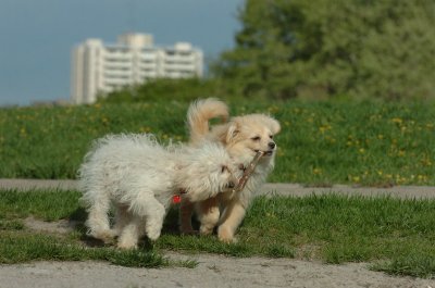 May12_07_638.JPG