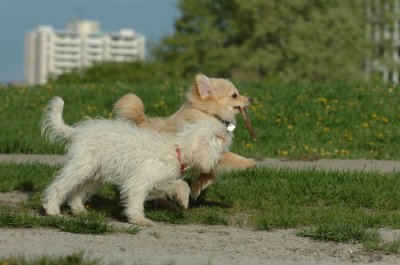 May12_07_639.JPG