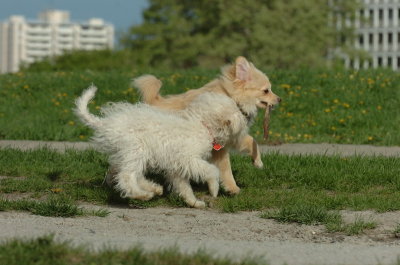 May12_07_640.JPG