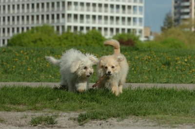 May12_07_642.JPG