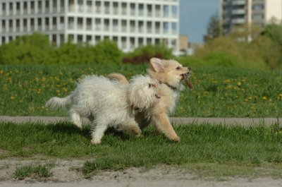 May12_07_644.JPG