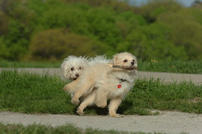 May12_07_646.JPG