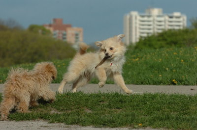 May12_07_649.JPG