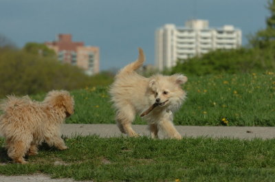 May12_07_650.JPG