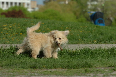 May12_07_654.JPG