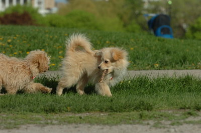 May12_07_656.JPG