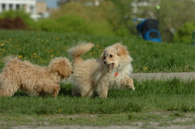 May12_07_657.JPG