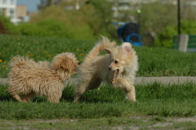 May12_07_658.JPG