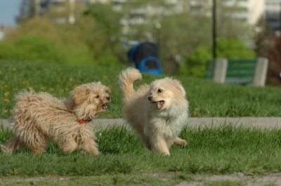 May12_07_659.JPG