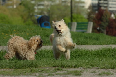 May12_07_660.JPG