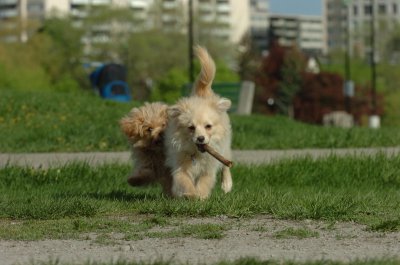 May12_07_663.JPG