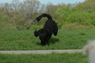 May12_07_427.JPG
