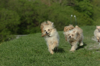May12_07_440.JPG