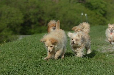 May12_07_442.JPG