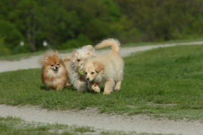 May12_07_448.JPG