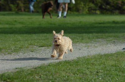May12_07_472.JPG