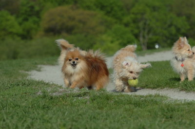 May12_07_483.JPG