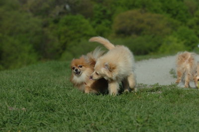 May12_07_484.JPG