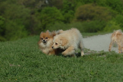 May12_07_485.JPG