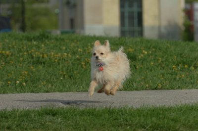 May12_07_496.JPG