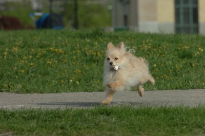 May12_07_497.JPG