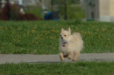 May12_07_498.JPG