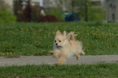 May12_07_499.JPG