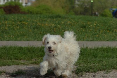 May12_07_501.JPG
