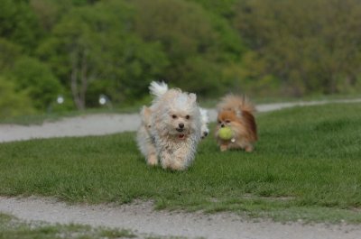 May12_07_530.JPG