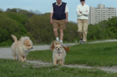 May12_07_542.JPG