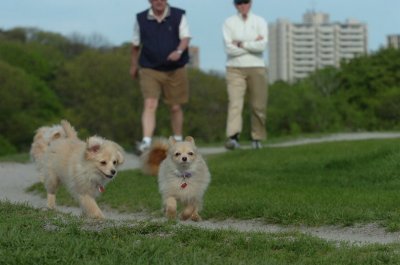 May12_07_544.JPG