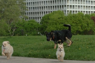 May12_07_173.JPG