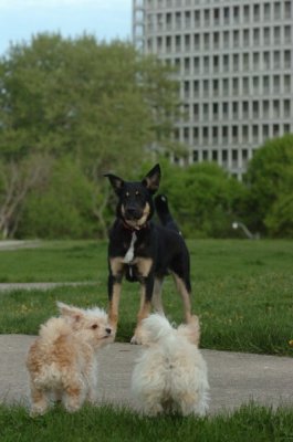 May12_07_174.JPG
