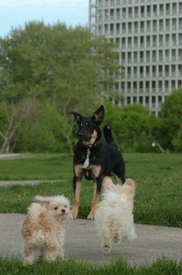May12_07_176.JPG