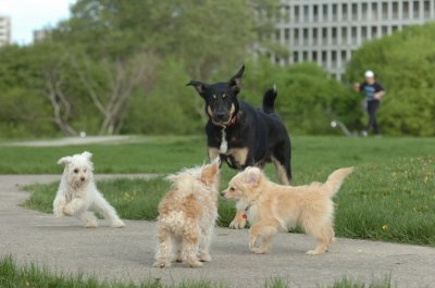 May12_07_178.JPG