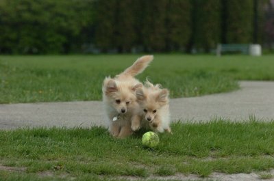 May12_07_189.JPG