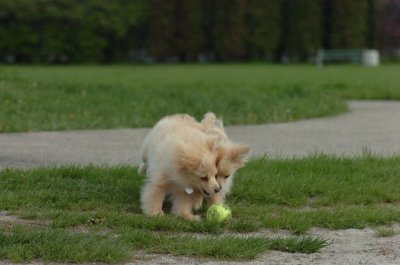 May12_07_191.JPG