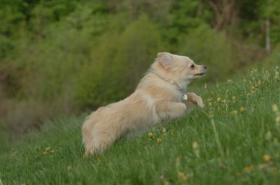 May12_07_197.JPG