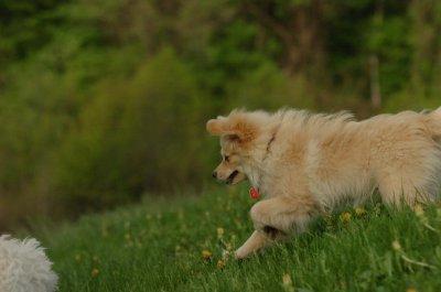 May12_07_204.JPG