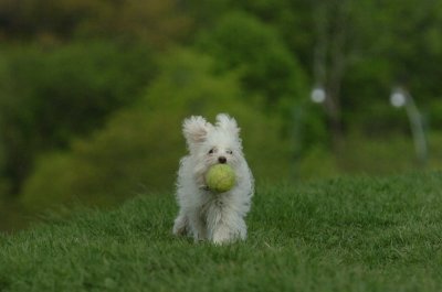 May12_07_220.JPG