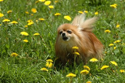 May13_07_819.JPG