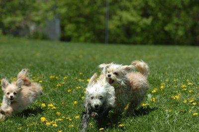 May13_07_570.JPG